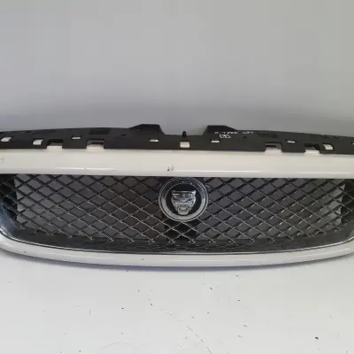 Jaguar X-Type lift ATRAPA CHŁODNICY Grill gril