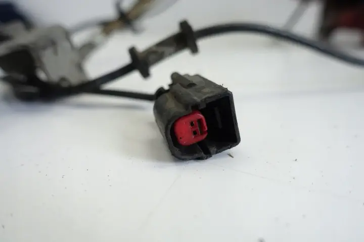 fe1906c597fc7ff38235e02c1bad0910