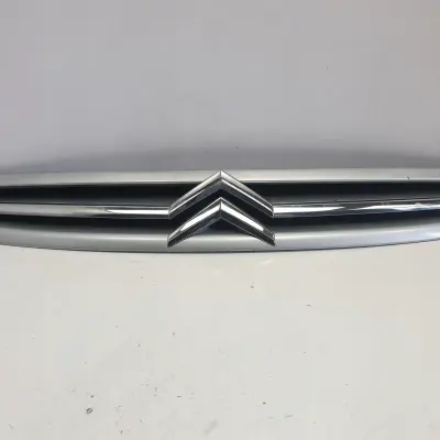 Citroen Xsara Picasso lift ATRAPA CHŁODNICY Grill