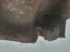 8305fe6c8b60c1daabf04c9c140d02b2