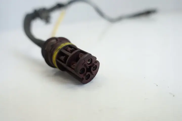 c56118a4352e8da1cf51f8ddc9e5f880