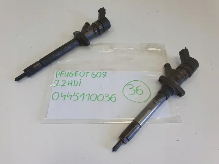Peugeot 607 2.2 HDI WTRYSK PALIWA wtryskiwacz 0445110036