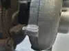 ae1f6842cf42b2909522056721e9bd77