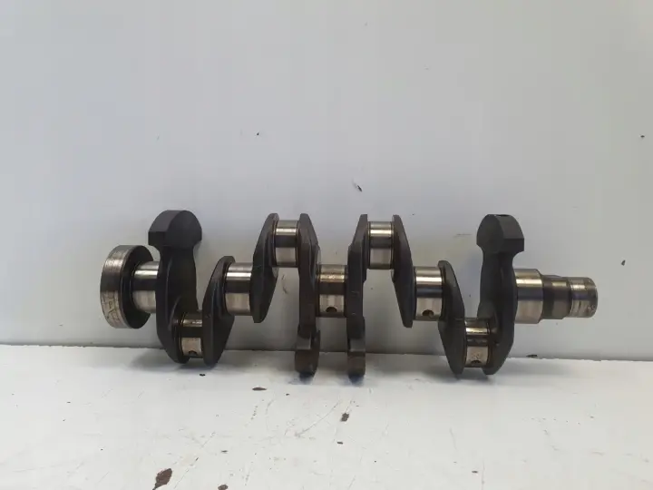 Renault Clio III 1.2 TCE 05-12r WAŁ KORBOWY TF8469