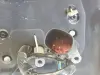 BMW 5 G30 G31 LUSTERKO PRAWE PASAŻERA 5 pin EUROPA 7452494