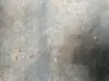 e17c2f0e6bacd6acb779aaf4853c8149