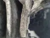 b6c9fce0fa7ad4cb6a72239669bc14cf