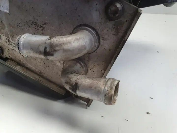 Seat Leon II 1.4 TSI KOLEKTOR SSĄCY 03C129711AD