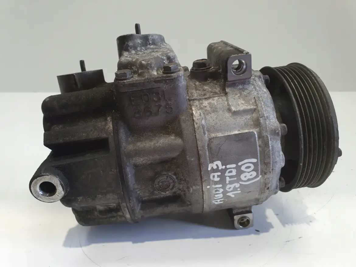 Audi A3 II 8P 1.9 TDI SPRĘŻARKA KLIMATYZACJI pompa 1K0820803G