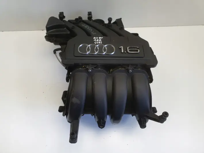 Audi A3 II 8P 1.6 8V KOLEKTOR SSĄCY 06A133203DL