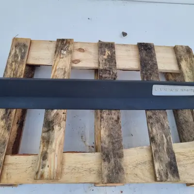 Renault Scenic II lift Conquest PRAWA LISTWA DRZWI prawy przód 8200631594