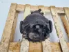 Mercedes W210 3.0 TD TYLNY MOST dyfer DYFERENCJAŁ tył