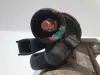 cd266c2fd1e58e24b5a3972789fcd1fb