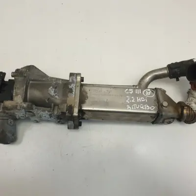 Citroen C5 III 2.2 HDI CHŁODNICA SPALIN EGR