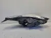 Renault Clio IV LIFT 16-20 PRZEDNIA LAMPA LEWA lewy przód EUROPA 260600373R