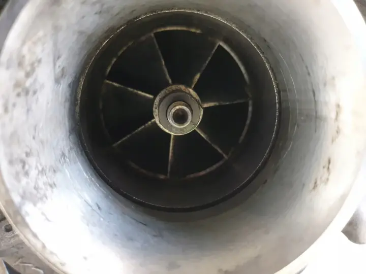 3feac76700a5c69c300a07feff03dc36