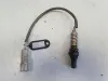 3be884608196bb825243edc25d0096d6