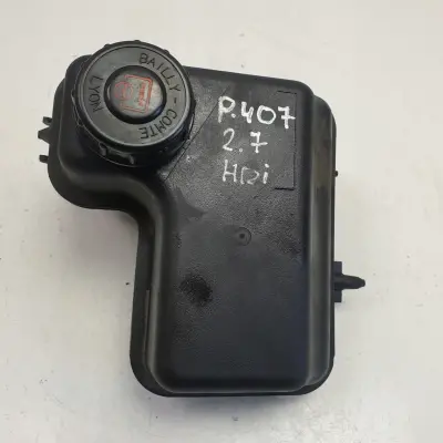 PEUGEOT 407 2.7 HDI ZBIORNICZEK PŁYNU WSPOMAGANIA
