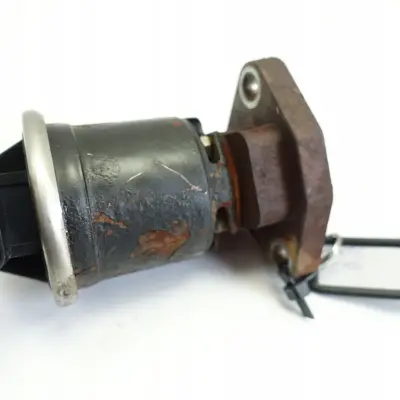 Peugeot Boxer 2.0 HDI ZAWÓR EGR SPALIN 0171317