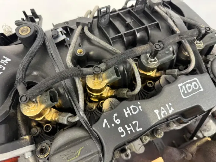 d150aaef1750f57d5f92c204ece4e187