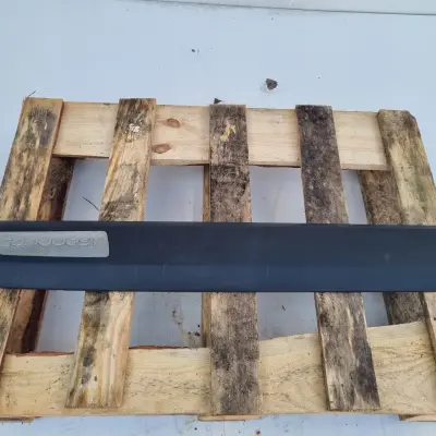 Renault Scenic II lift Conquest LEWA LISTWA DRZWI lewy przód 8200631592