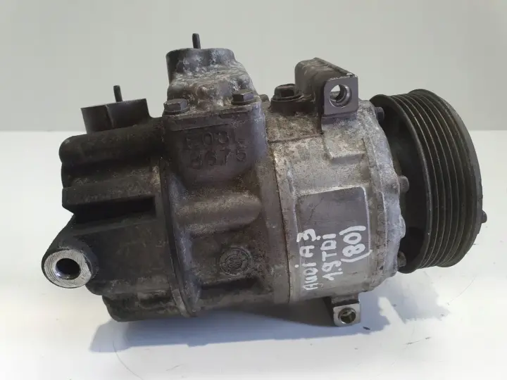 Audi A3 II 8P 1.9 TDI SPRĘŻARKA KLIMATYZACJI pompa 1K0820803G