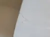 5f52f44588c80e6f61900d6546e24cfb