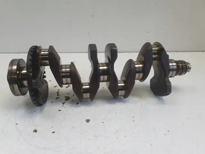 Nissan Juke 1.6 16V WAŁ KORBOWY 1KA0H