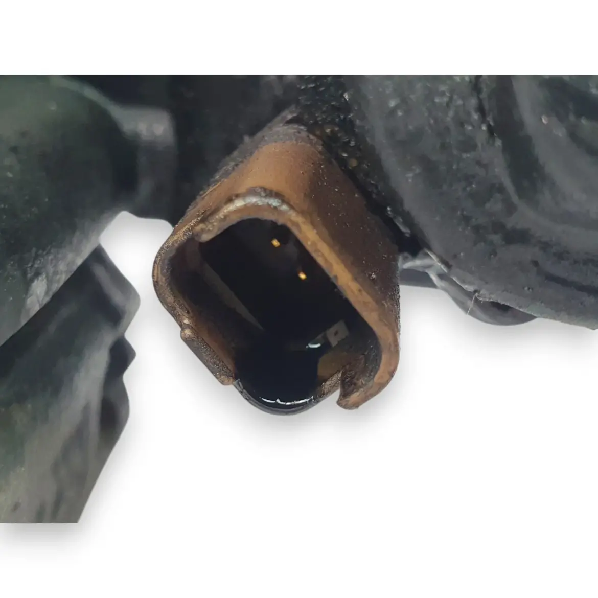 c0646b7e25898ae02c6513e5eac63fb8