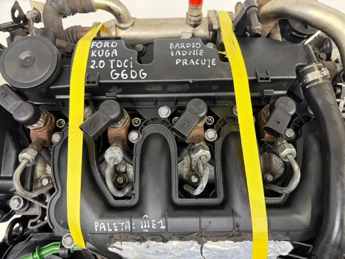 f209cb30535c1a877ec635d45116ad8d