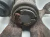 8698744a6653865d9b86d42012850243
