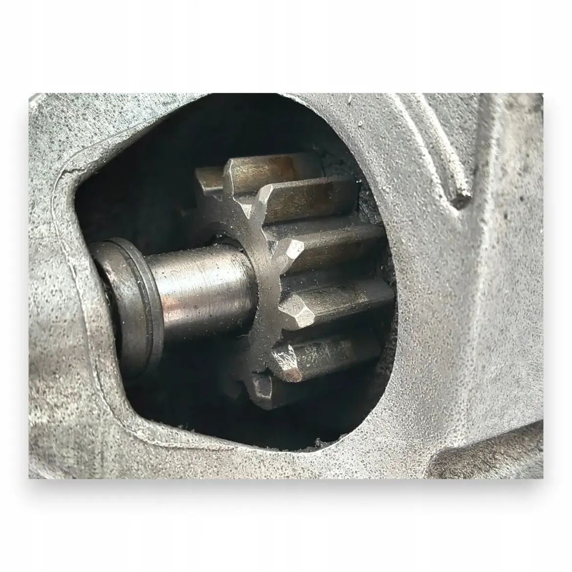 81300ef56689afd5cd06c9c2119e3223