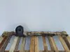 9ecda1de2a25b05f6ceeb6ff8d1075d3