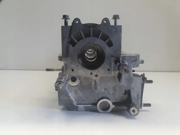 Opel Antara Captiva 2.0 VCDI GŁOWICA CYLINDRÓW 96440132