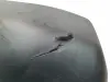 c533d0e2999e5c0af82d4206e813af53