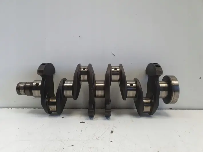 Renault Clio III 1.2 TCE 05-12r WAŁ KORBOWY TF8469