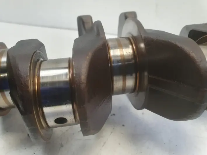 Nissan Juke 1.6 16V WAŁ KORBOWY 1KA0H