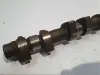 8159374e4006e5dddd8700b9b6464e79