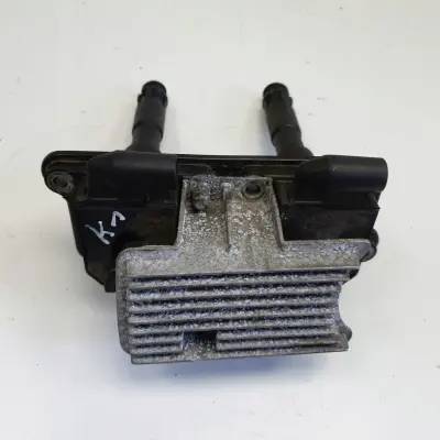 Audi A4 B5 1.8 20V CEWKA ZAPŁONOWA BREMI 20648