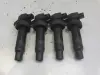 d07d0c9e86342ae8956269a33091b353
