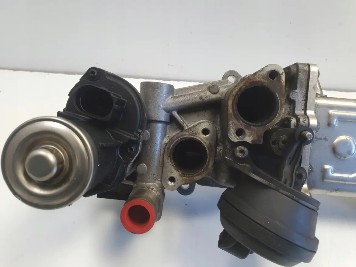 Audi A3 II 8P 1.6 TDI CHŁODNICA SPALIN egr 03L131512AT