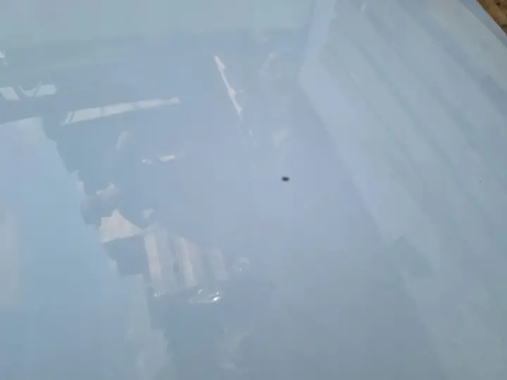 Kia Ceed Cee'd LIFT 09-12r PRZEDNIA MASKA POKRYWA SILNIKA WD Cassa White