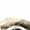 f1ae25385a10c46f2265e6d7923d3e08