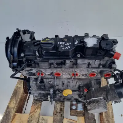 SILNIK Ford Focus III MK3 1.6 TDCI 115KM T1DA T1DB