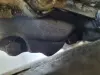 fd601acd1eb875a162d91bb915343a8e
