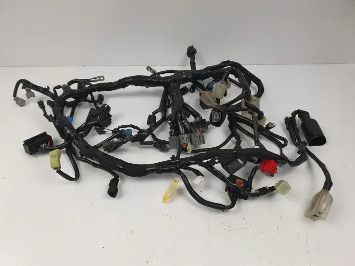 6013504e52e9071bac8c8ce55bb2de19