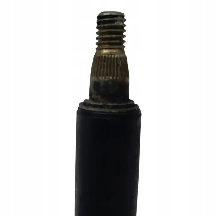 4bc5387a62ea031f55afd8b66c246f80