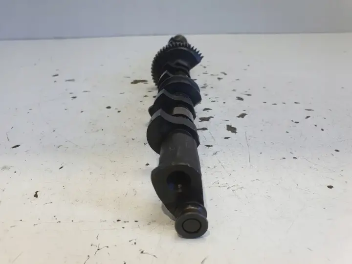 BMW E46 1.8 i 2.0 i WAŁEK MIMOŚRODOWY POŚREDNI ROZRZĄDU VALVETRONIC