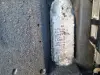 SILNIK KOMPLET Volvo V70 III 2.0 D D4 181KM BITURBO 148tyś D4204T5
