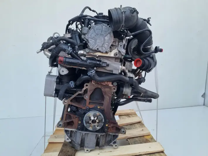 SILNIK KOMPLET VW Caddy III 1.6 TDI 75KM udokumentowane 233tyś CAY CAYE